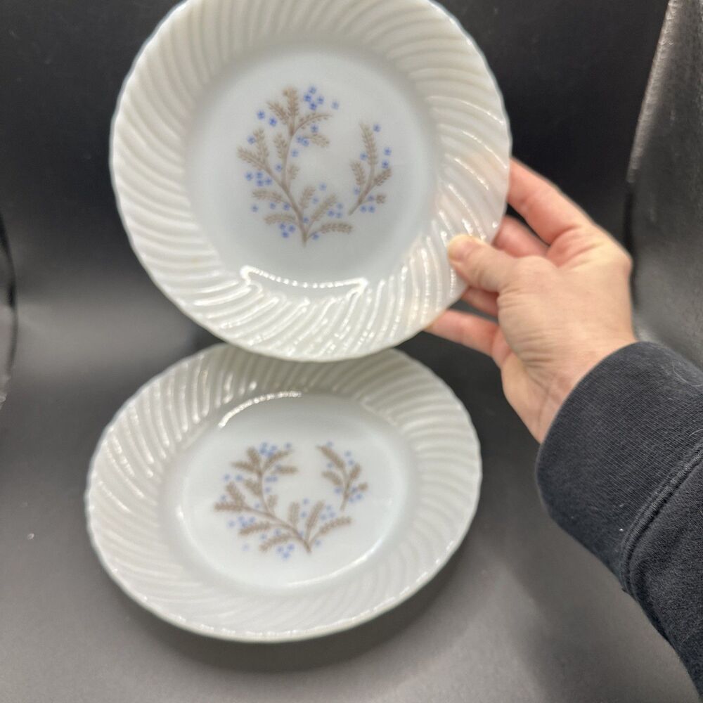 Vtg Mid Century Termocrisa Style Milk Glass Blue Floral Luncheon Plate 2 pc 7.5”